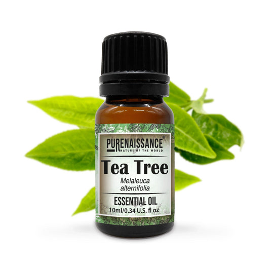 Tea tree Essential Oil/10ml