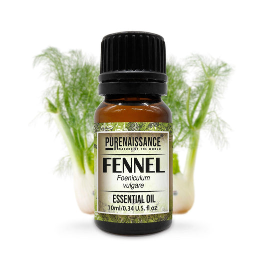 Fennel Essentiel oil/10ml