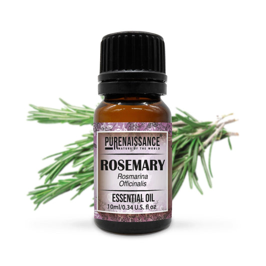 Pure Rosemary Essential Oil Purenaissance Therapeutic Grade for, Best for Aromatherapy and Diffuser /10 ml