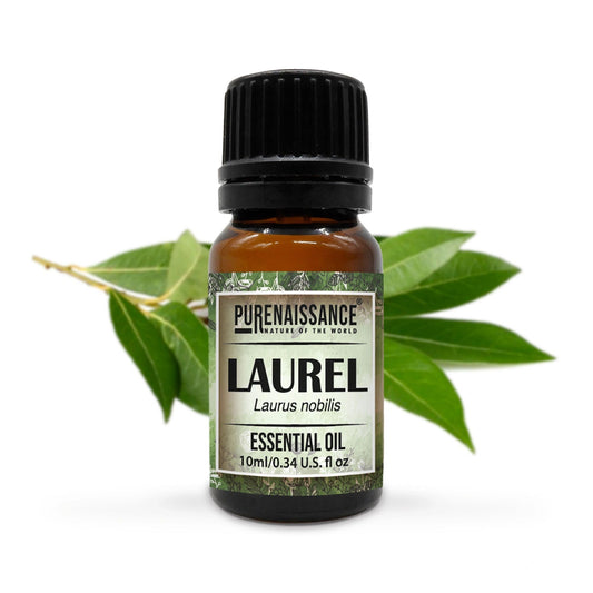 Pure Laurel Essential Oil Purenaissance Therapeutic Grade, Best for Aromatherapy and Diffuser /10 ml