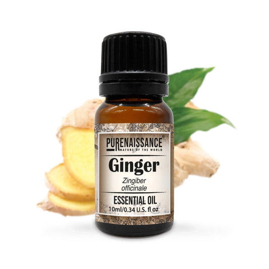Ginger Essential Oil/10 ml