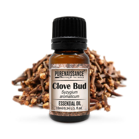 Clove Bud Essential Oil/10 ml