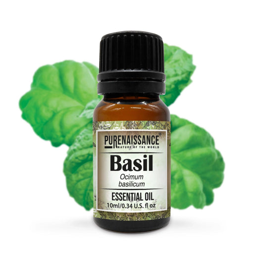 Pure Basil Essential Oil Purenaissance Therapeutic Grade, Best for Aromatherapy and Diffuser/10 ml