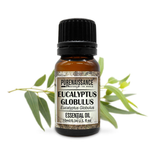 Eucalyptus Essential Oil/10 ml