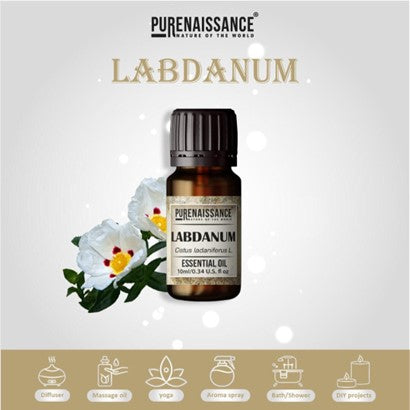 Pure Labdanum Essential Oil Purenaissance Therapeutic Grade for, Best for Aromatherapy and Diffuser/10 ml