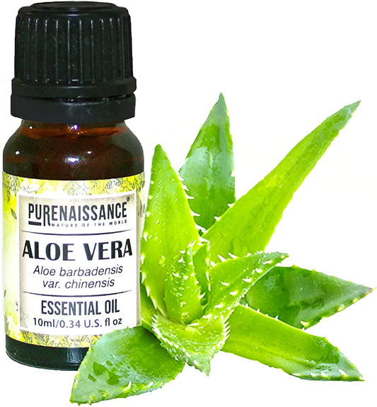 Pure Aloe Vera Essential Oil Purenaissance Therapeutic Grade .  Best for Aromatherapy and Diffuser/10ml