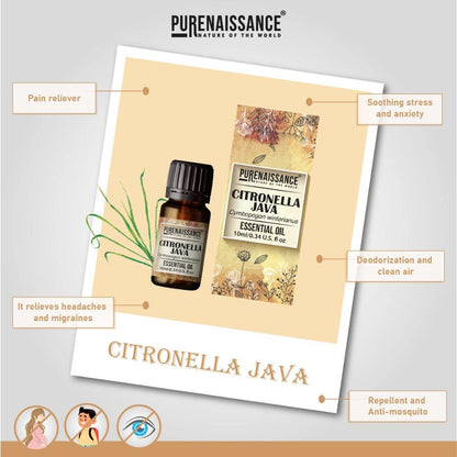 Pure Citronella Java Essential Oil Purenaissance Therapeutic, Best for Aromatherapy and Diffuser.