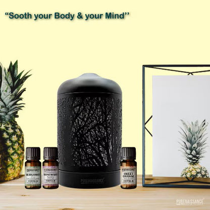 Aromatherapy Essential Oil Diffuser by Purenaissance for domestic and professional use, includes three 10ml bottles of essential oils.