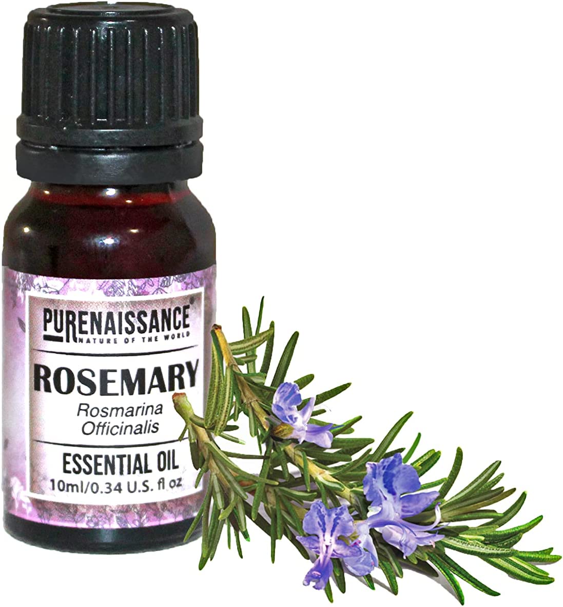 Pure Rosemary Essential Oil Purenaissance Therapeutic Grade for, Best for Aromatherapy and Diffuser /10 ml