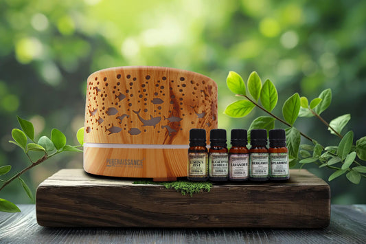 Ocean Whisper - Aromatherapy essential oil Diffuser Purenaissance, Domestic-professional use, with five bottles of 10ml essential oils.
